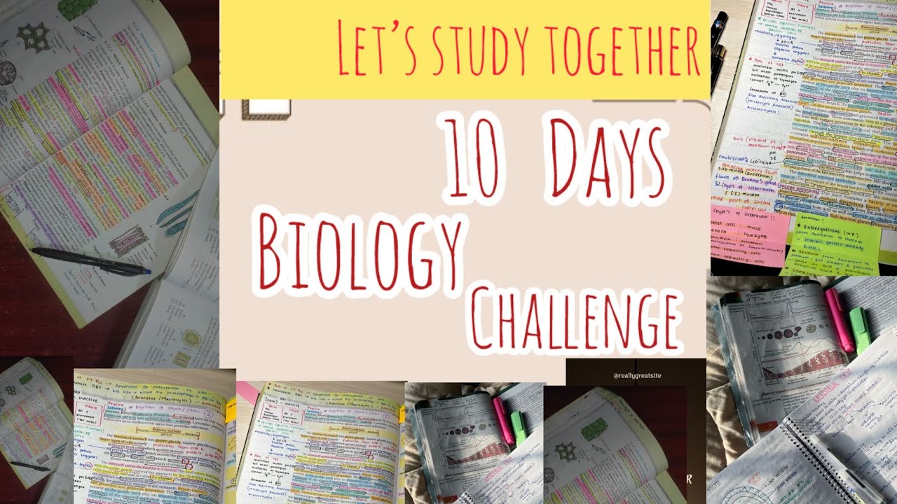 LETS STUDY TOGETHER 📈|BIOLOGY CHALLENGE 📚📖|10 Days🖇️ - YouTube