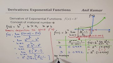 Significance of Derivative of exponential Function e^x from first principle Calculus Foundation