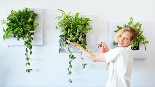 Live Frames With Plants - How To Install & Water - YouTube