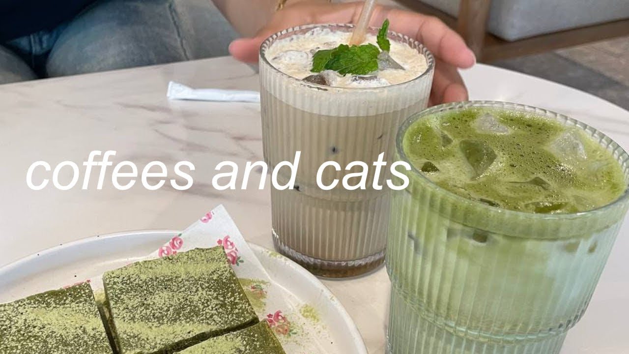 coffees, cats and movies | living vlog | @itsjoeylim
