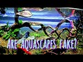 Aquascaping is An Illusion. This is My Functioning Aquarium, Yet Still, So Much  Is Not As It Seems