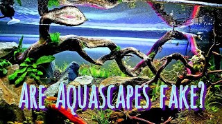 Aquascaping is An Illusion. This is My Functioning Aquarium, Yet Still, So Much  Is Not As It Seems