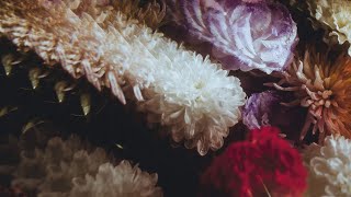 Download Lagu Fin del Mundo - Hicimos crecer un bosque [Full Album] MP3