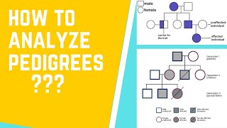 Celebrity How to Read and Analyze Pedigrees 101 Net Worth