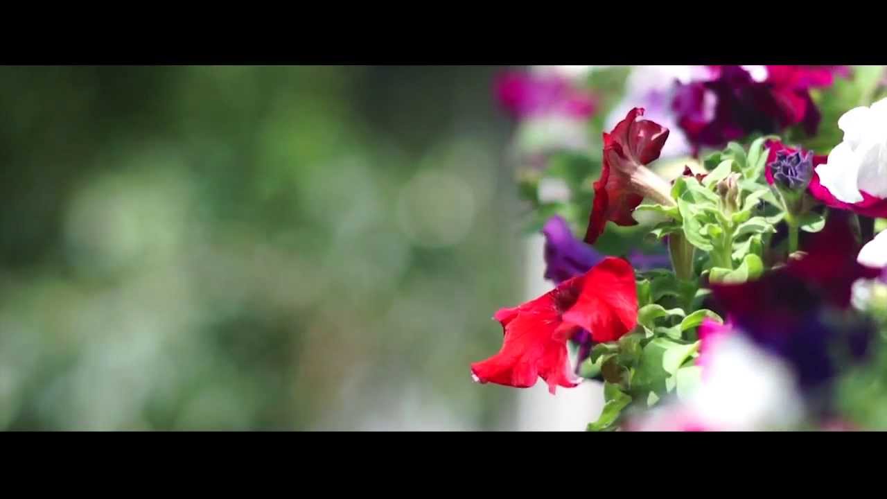 Steinheil Munchen Tele-Quinar 135mm f/2.8 on Sony Nex 5.