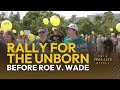 A Rally for the Unborn that Predates Roe v Wade | EWTN Pro-Life Weekly