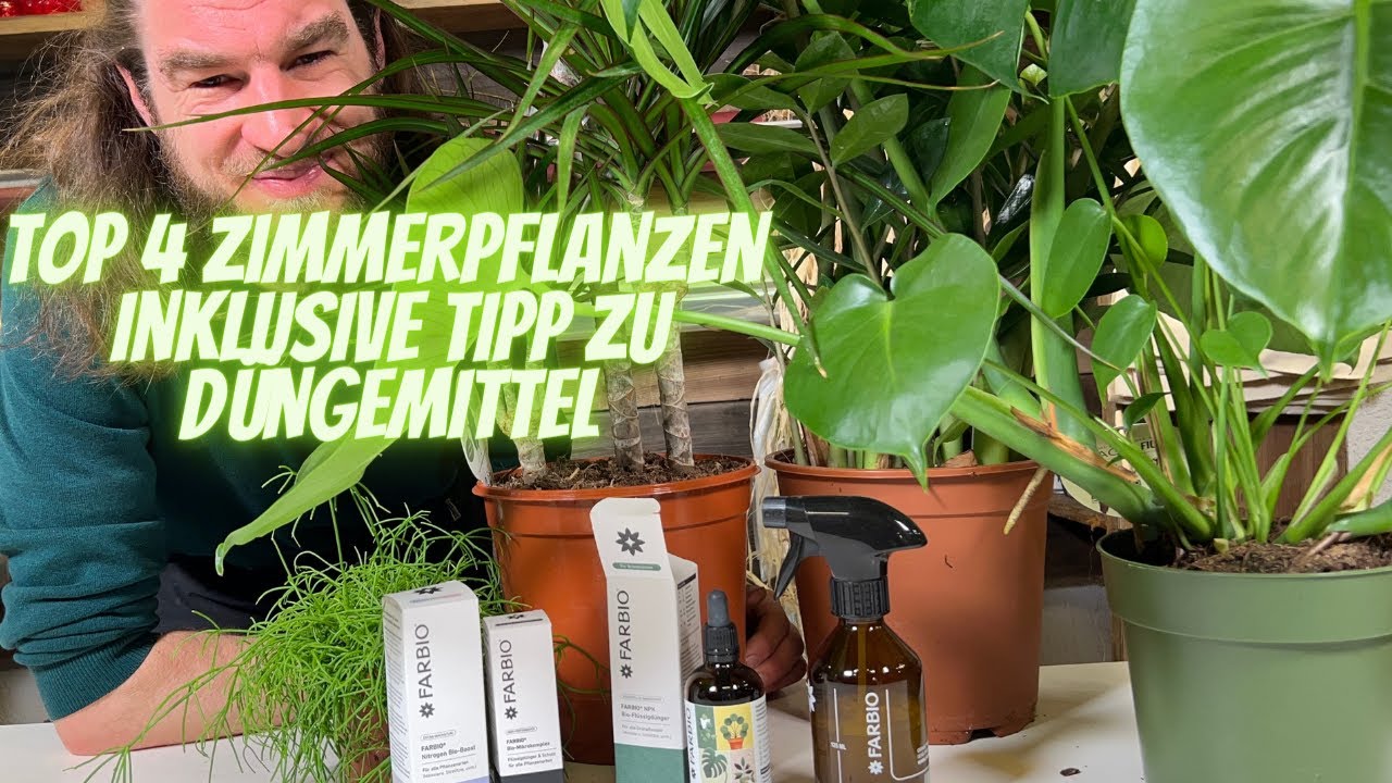 Die Top 4 Zimmer Pflanzen vom Profi kurz erklrt - Kennst du das  Bio-Dngemittel FARBIO schon