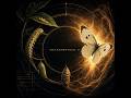 Metamorphose II