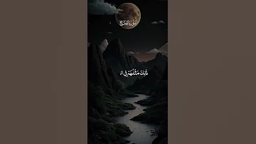 Trending Quran Tilawat Short Video سورة الفتح 