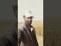 #comedy