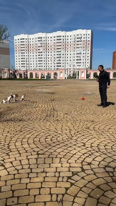 Неуловимое Яйцо /ч.4 «оставление интереса» - YouTube