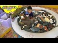 100 ANIMALS Swimming In The Pool Skyheart Plays With Animal Toys For Kids Mojo Planet 