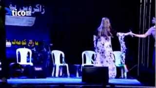 Hozan Alin , Baxche Gulan , Concert Erbil , HD Resimi