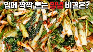 얼갈이 겉절이가 이렇게 맛있다니 놀랍습니다