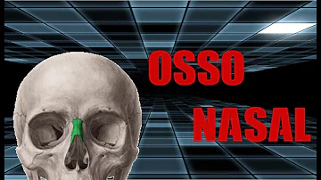 Qual a importância de ver o osso nasal no feto?