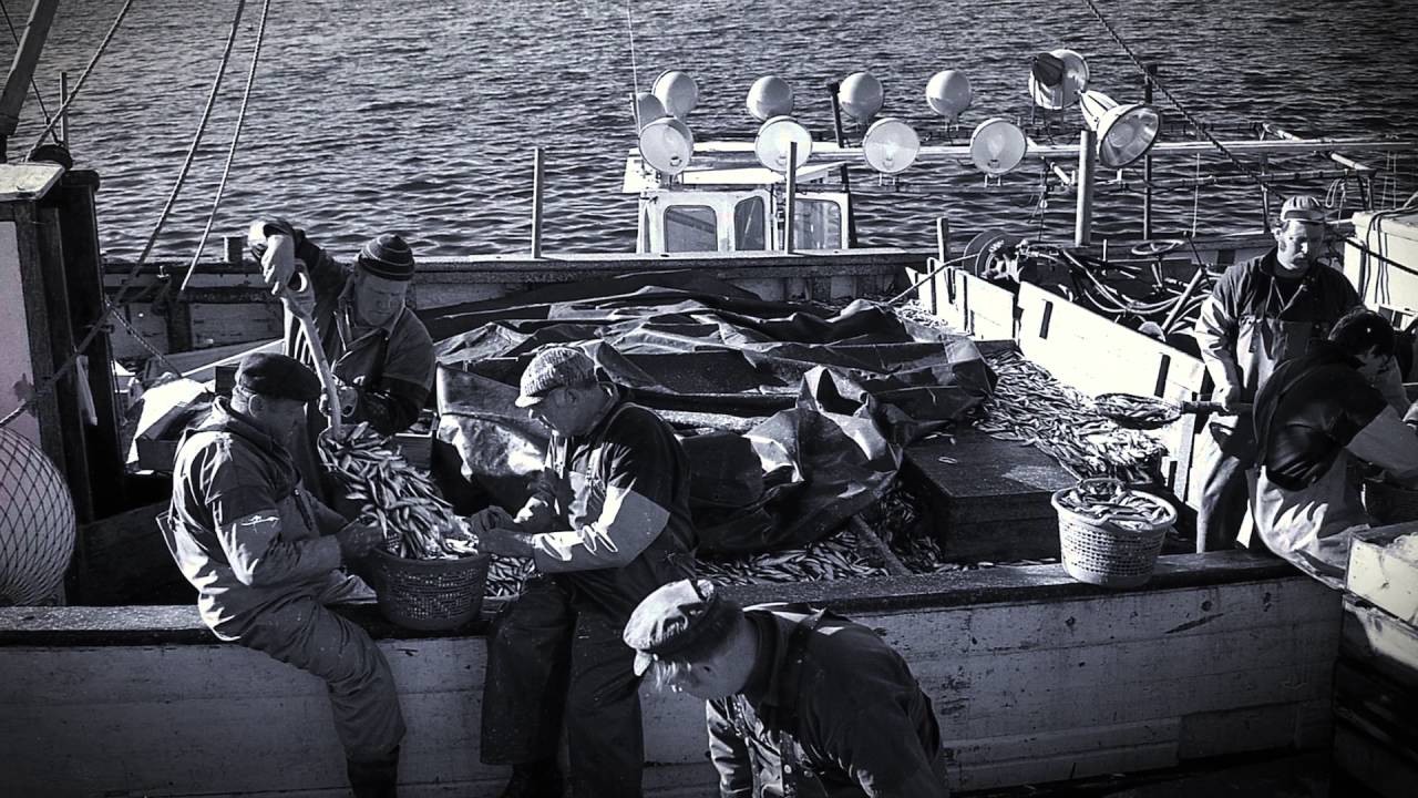 Mer räkor – Bohusfiskare i bilder