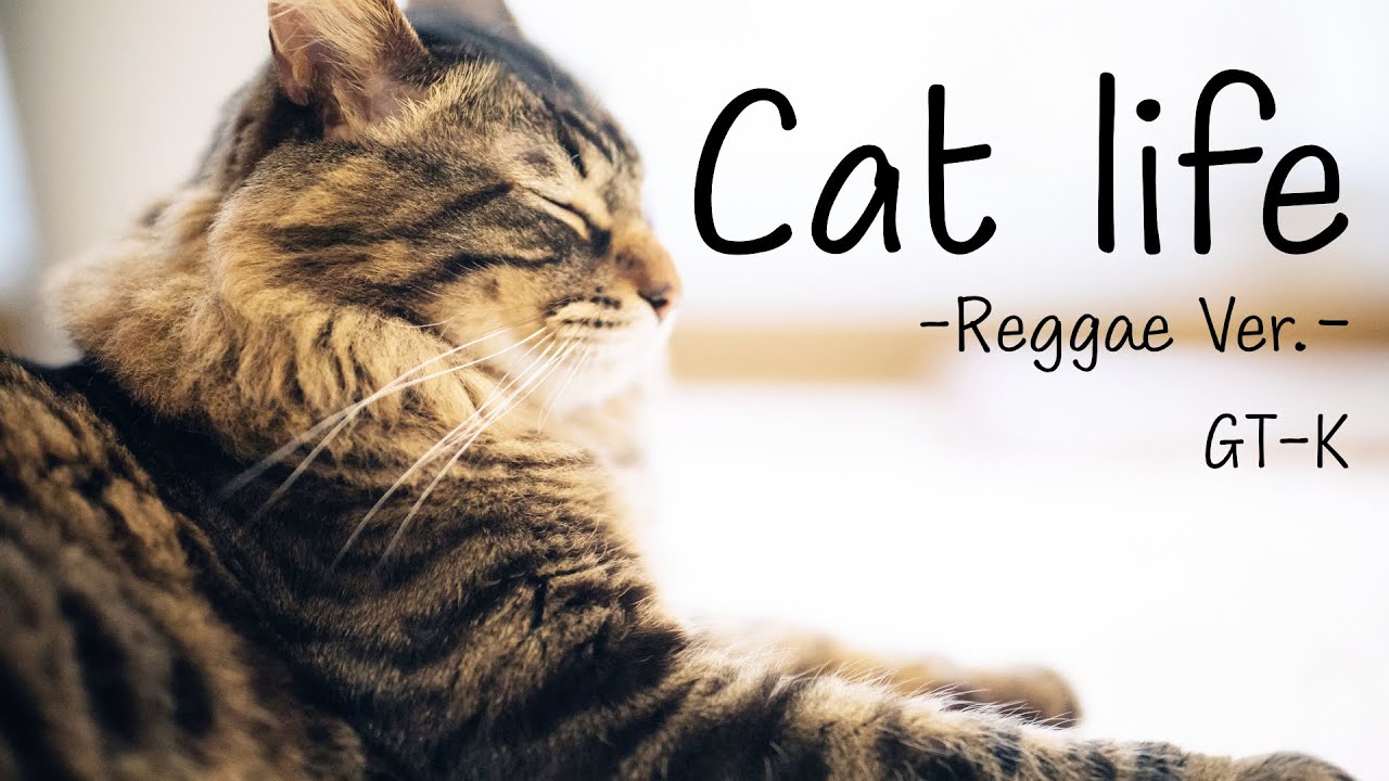洋楽 KAT / LIFE MV】Cat life (Reggae Ver.) - YouTube
