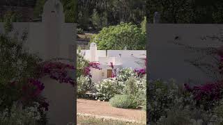 Hotel Ibiza Can Lluc: where Ibizan tradition meets modern luxury