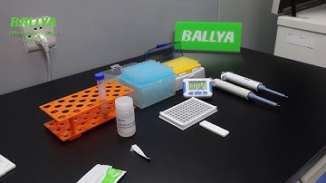BALLYA Chlorothalonil Test - Detection of Chlorothalonil in Wheat - BALLYA