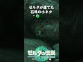 【ティアキン】最近知った役立つ小ネタ【攻略】