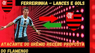 Ferreirinha Bem Vindo Ao Flamengo Lances E S
