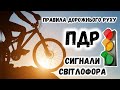 ПДР | Сигнали світлофора | Правила дорожнього руху | Модуль велоспорт | Фізична культура |