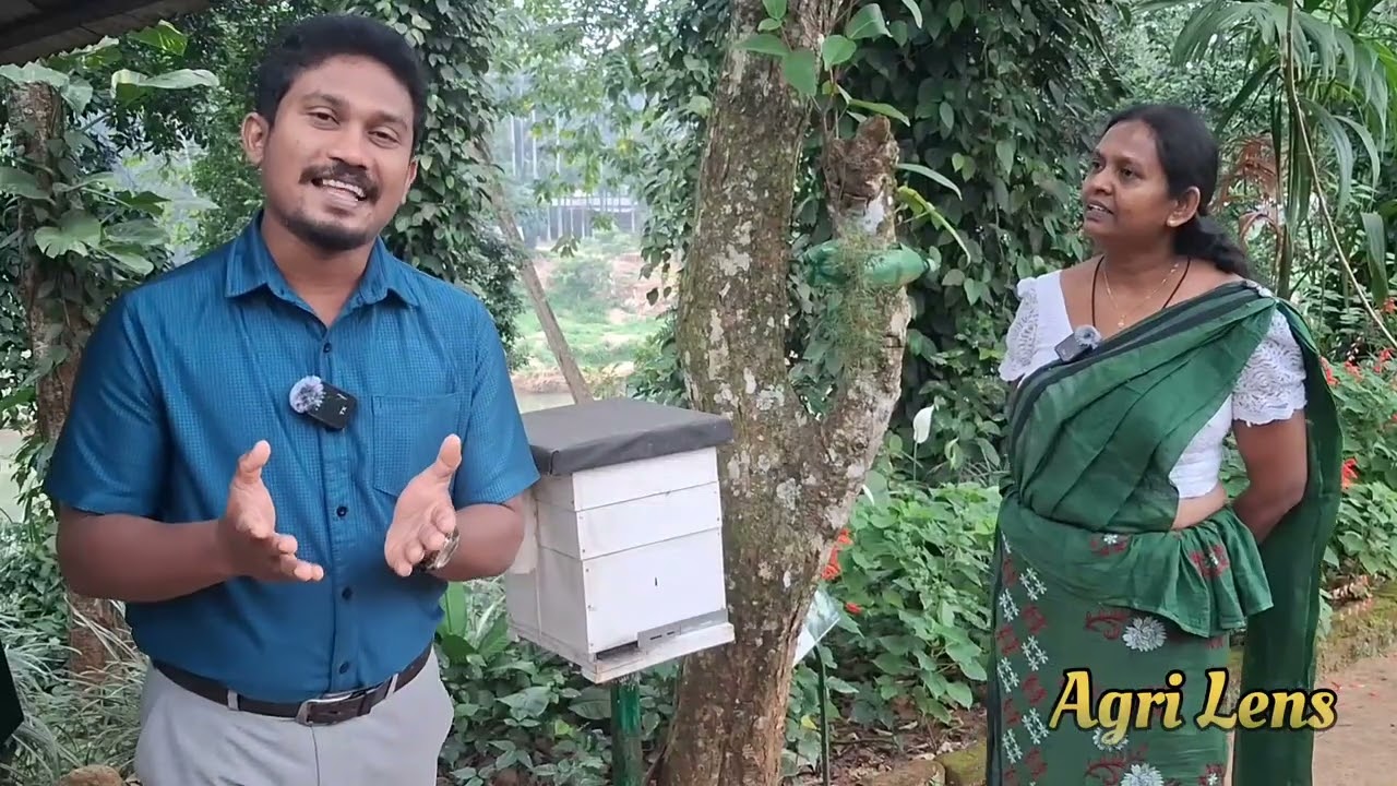 මී මැසි පාලනය- part -01