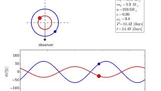 Simulation Of Binary Star Radial Velocity