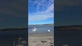 On My Side. Bless Me Lord Every Day