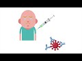 IGCSE Biology 2026 (new syllabus): The immune system 🦠 😷