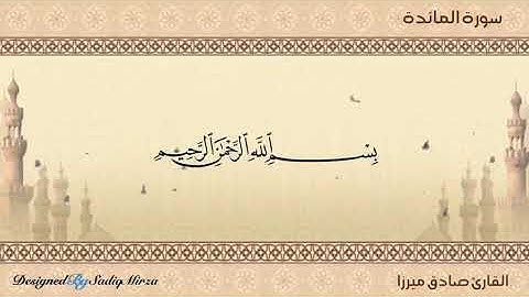 القارئ : صادق ميرزا 17