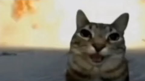 Poeyeng Aeng 100% [Insane Demon]