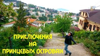 ПРИНЦЕВЫ ОСТРОВА И НАШИ ПРИКЛЮЧЕНИЯ / ЭМОЦИИ / НЕОЖИДАННОСТИ ПРИНЦЕВЫ ОСТРОВА И НАШИ ПРИКЛЮЧЕНИЯ / ЭМОЦИИ / НЕОЖИДАННОСТИ