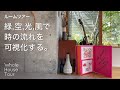 【ルームツアー】屋上庭園｜中庭｜木とコンクリート｜建築家の家｜House tour