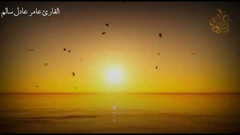 عامر عادل   أواخر سورة القصص