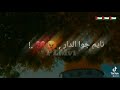اصحو يا عرب لعبو فينا الامريكان احنا ولاد صغار علمتونا نرمي حجار