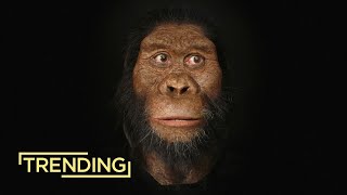 A New Link in the Chain of Human Evolution
