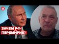 ⚡️ЯКОВЕНКО объяснил стратегический план путина