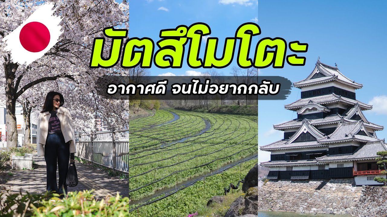 🇯🇵 Vlog มัตสึโมโตะ เที่ยวครบทั้งซากุระ ปราสาท คาเฟ่ และฟาร์มวาซาบิ 🌸🍵🏯 | VLOG EP.21