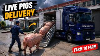Live Pigs Delivery! Big Hectic screenshot 5