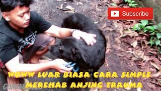 merehab anjing trauma..