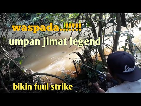 mancing-ikan-baung-pakai-umpan-jimat-legend