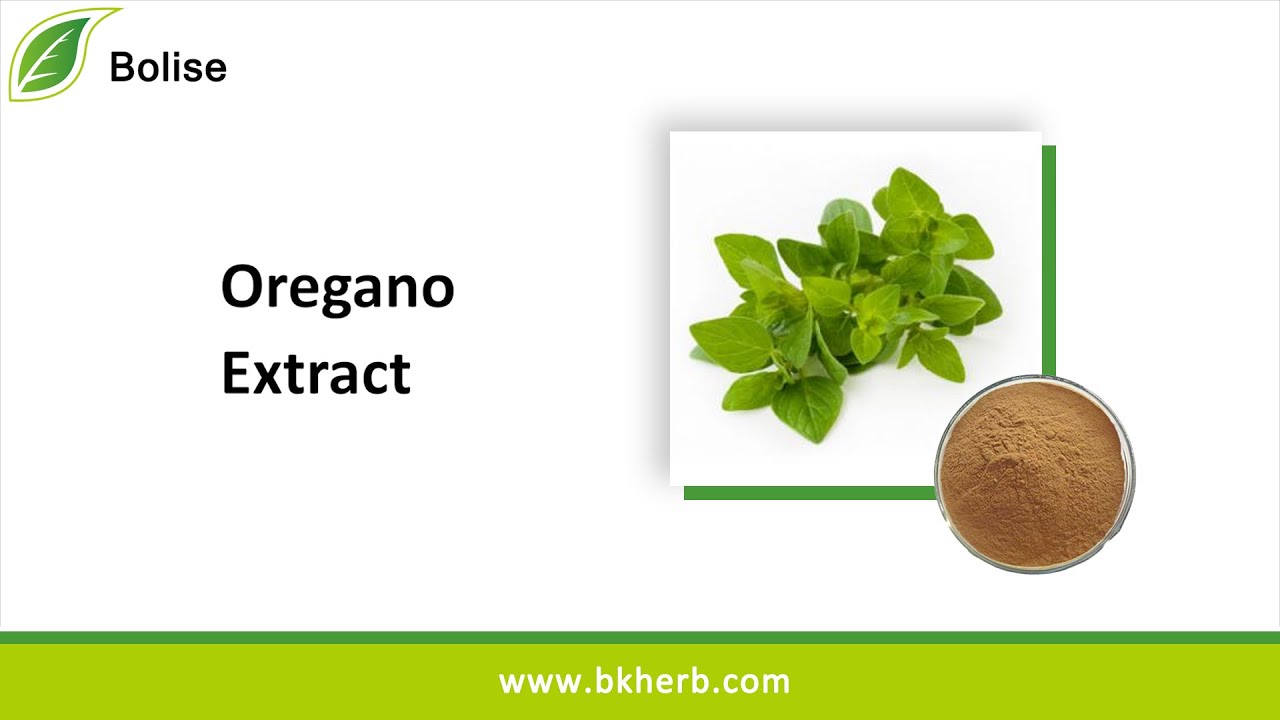 Oregano Extract - Young Living Essential Oils, Carvacrol, Manufacturer, Price, Factory