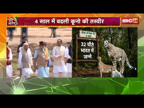 Kuno Cheetah Project : कूनो में चीता प्रोजेक्ट के 4 साल पूरे | 8 चीतों से 52 तक पहुंचा कुनबा
