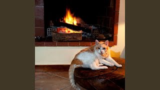 Serene Firelight Purr