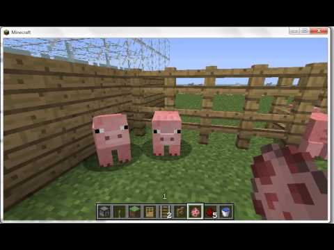 Minecraft Come Fare I Cuccioli Di Maiale Youtube