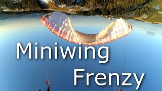 Miniwing frenzy