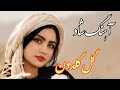 Persian Music آهنگ شاد و زیبای گل گلدون من با خوانندگی مجتبی نصیری