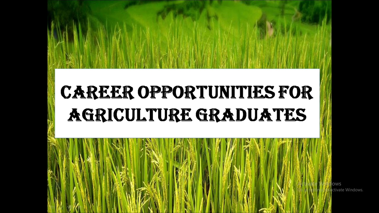 Career opportunities for Agriculture graduates - YouTube