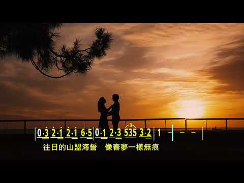 負心的人(Eb)《動態簡譜》純伴奏《跑譜》卡拉OK字幕